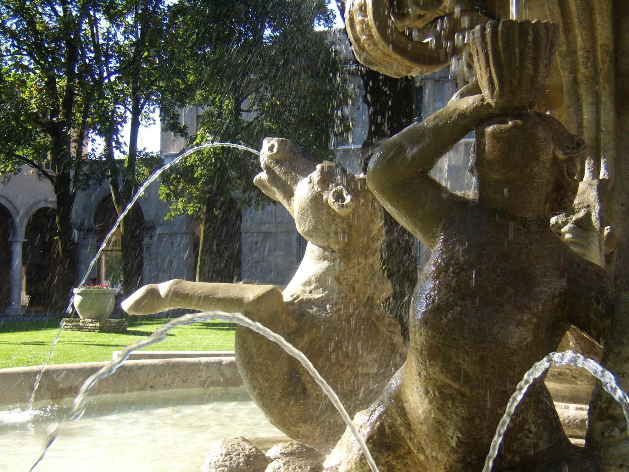 L'ibiscus E Il Mare Bergamo